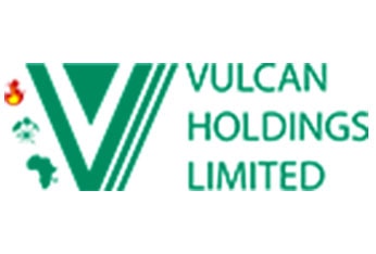 Partners-Vulcan-Holdings-Limited--Africa-Women-Rising-min